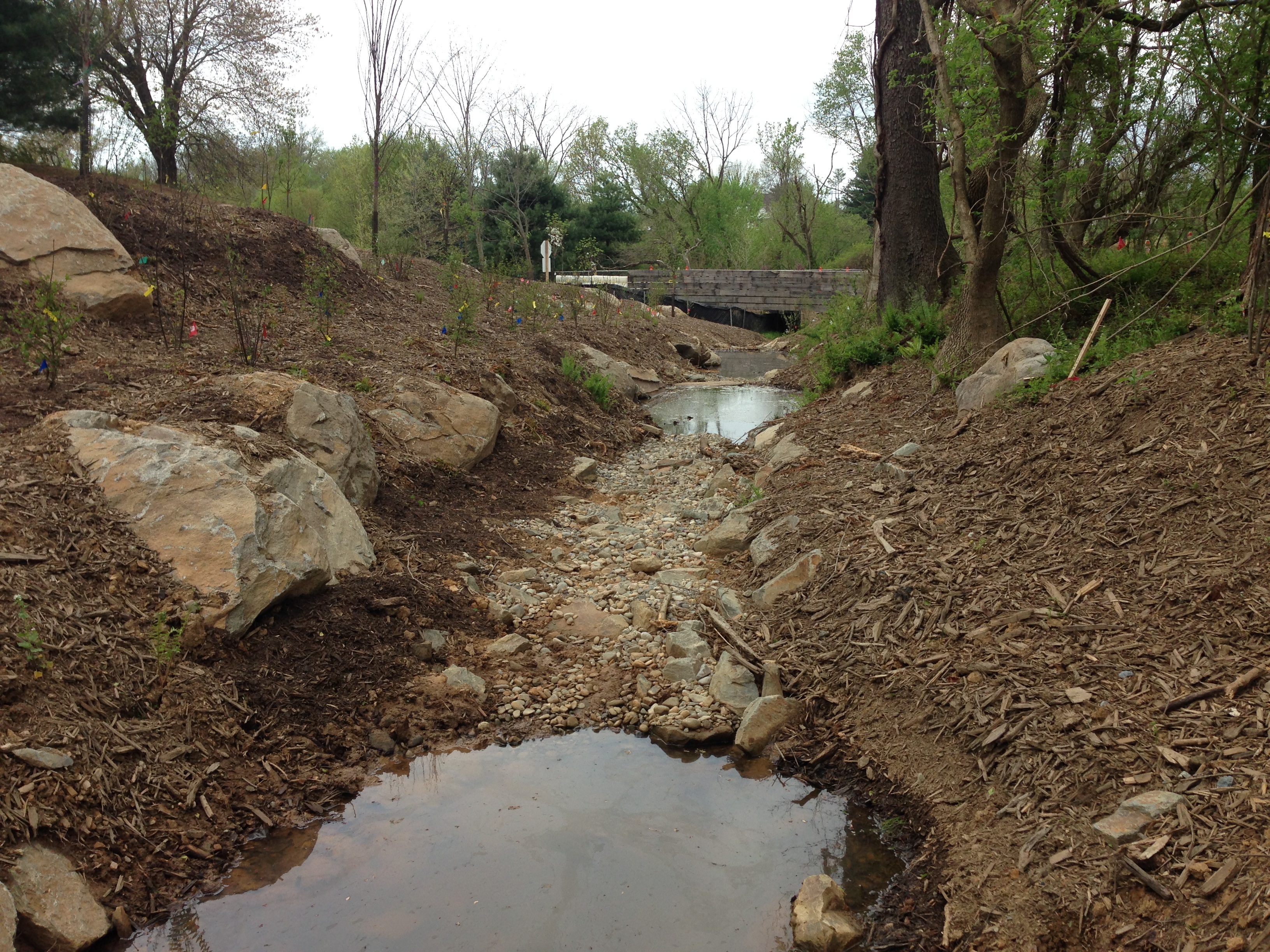 Field photo showing stream conditions at site PRMO-004-X-2016_midpoint looking downstream